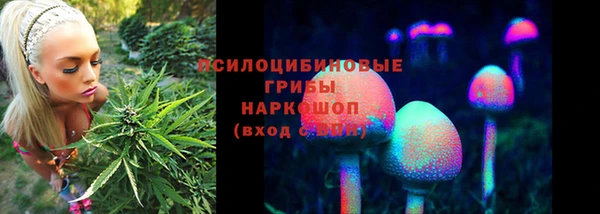 ALPHA-PVP Нефтекумск