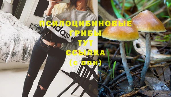 первитин Надым