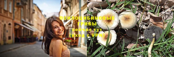 первитин Надым